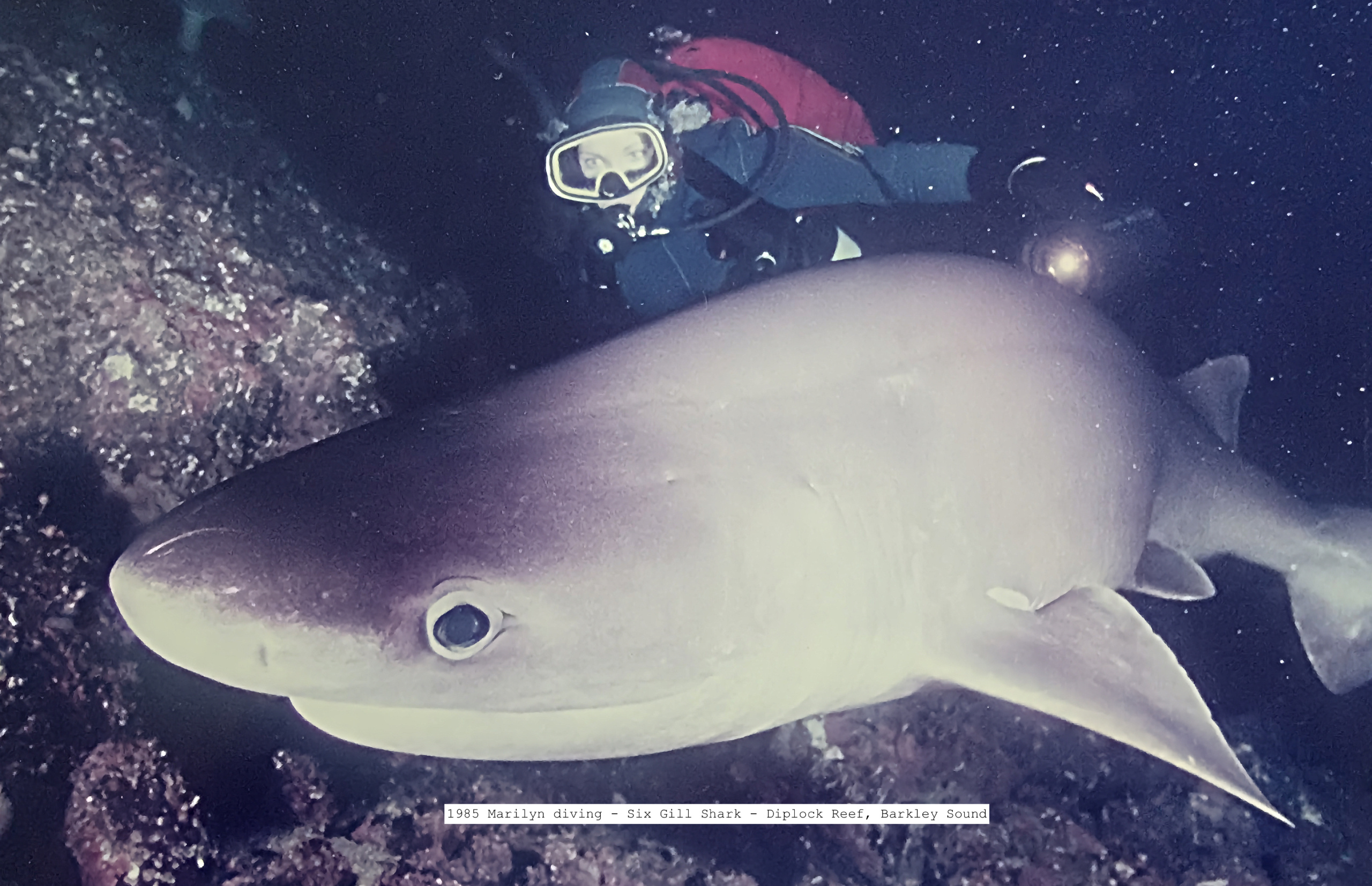 Marilyn For Ucluelet Mayor